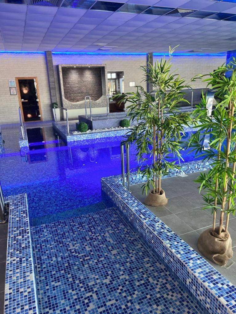 "Poseidon" Centar Aparthotel Stari Banovci Eksteriør bilde